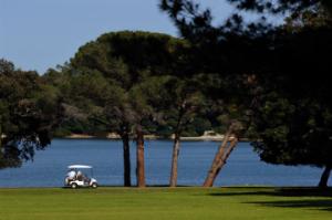 Brijuni island